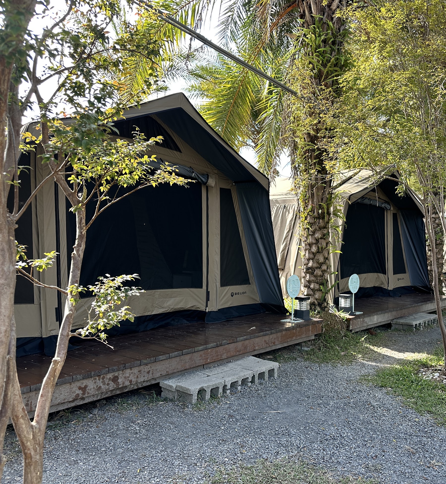 700商用住宿帳篷在林間營地的實拍